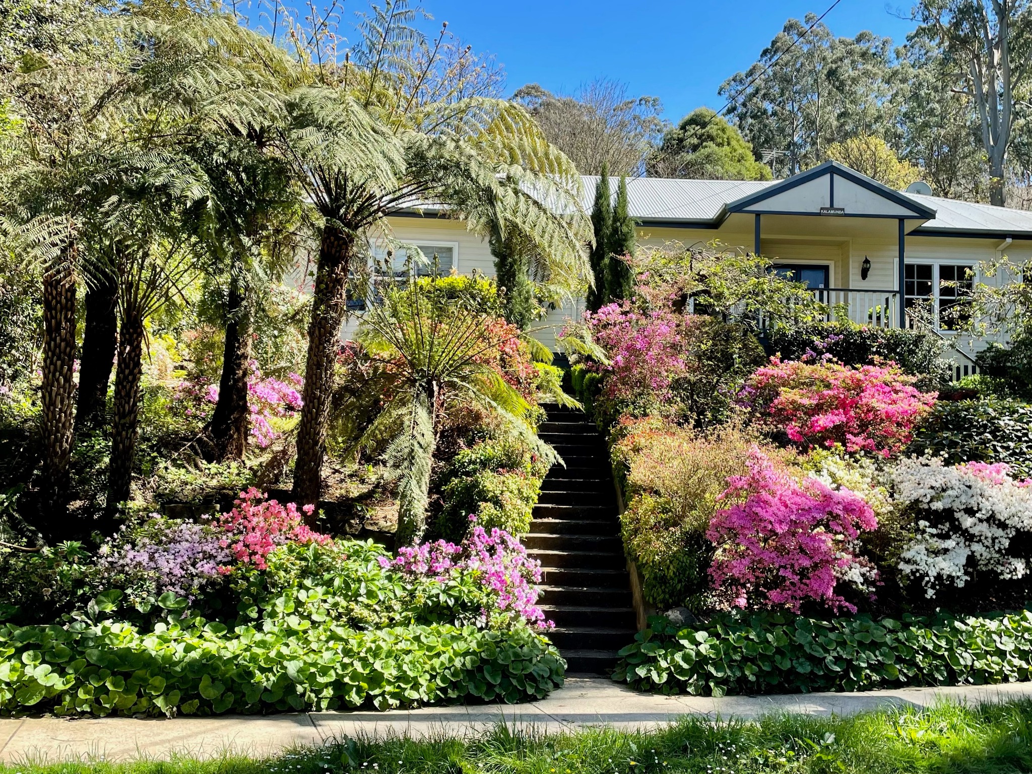 Precinct Cottage Facebook ad: Home in Olinda · ★4.95 · 3 bedrooms · 4 beds · 2 baths