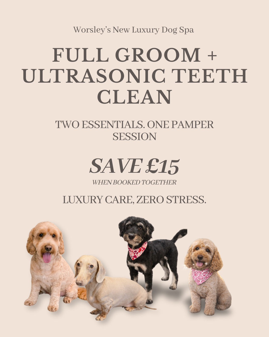 Worsley Woofs Spa & Co. Facebook ad: Healthier, Happier Dogs This February