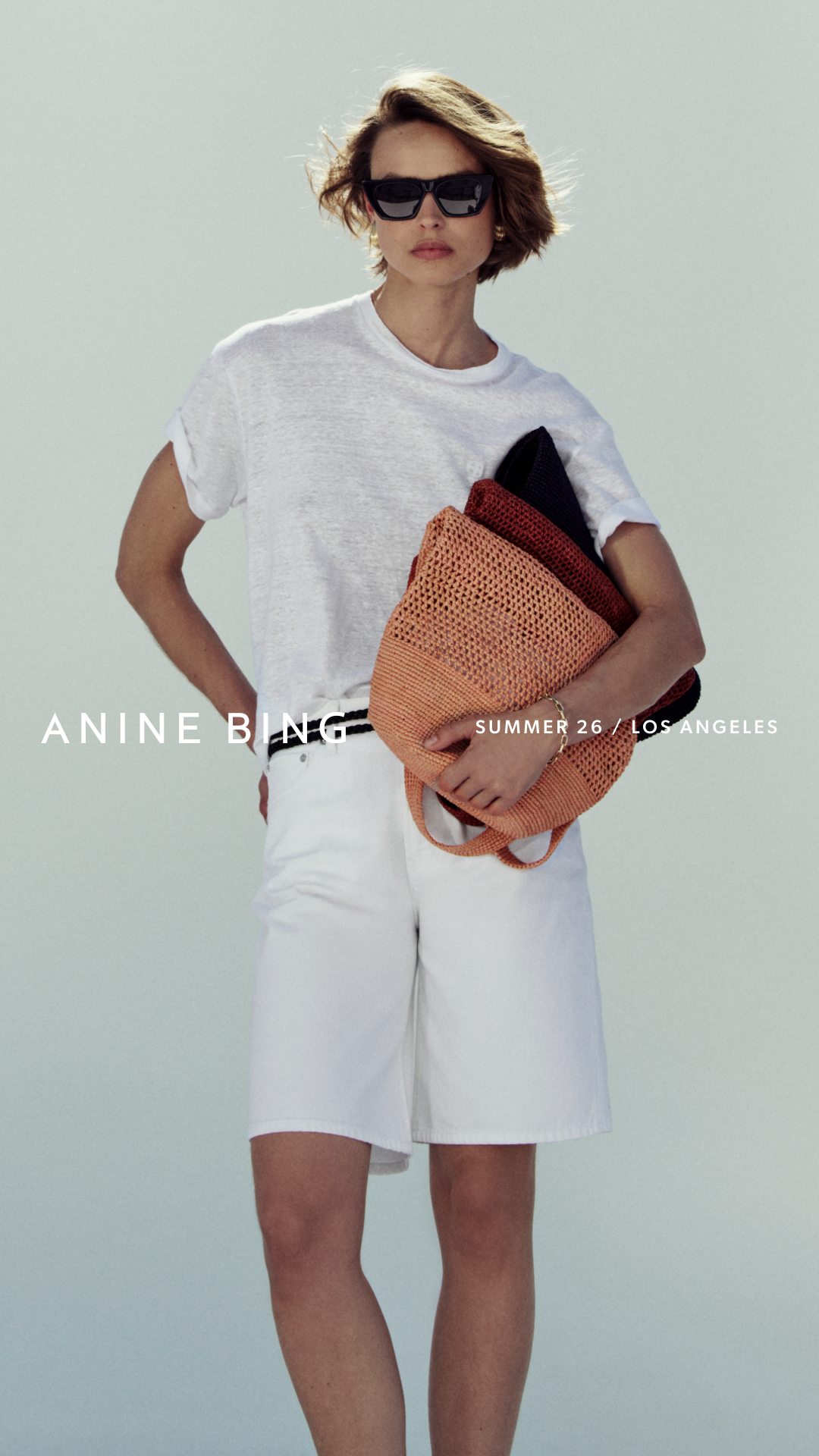 ANINE BING Facebook ad