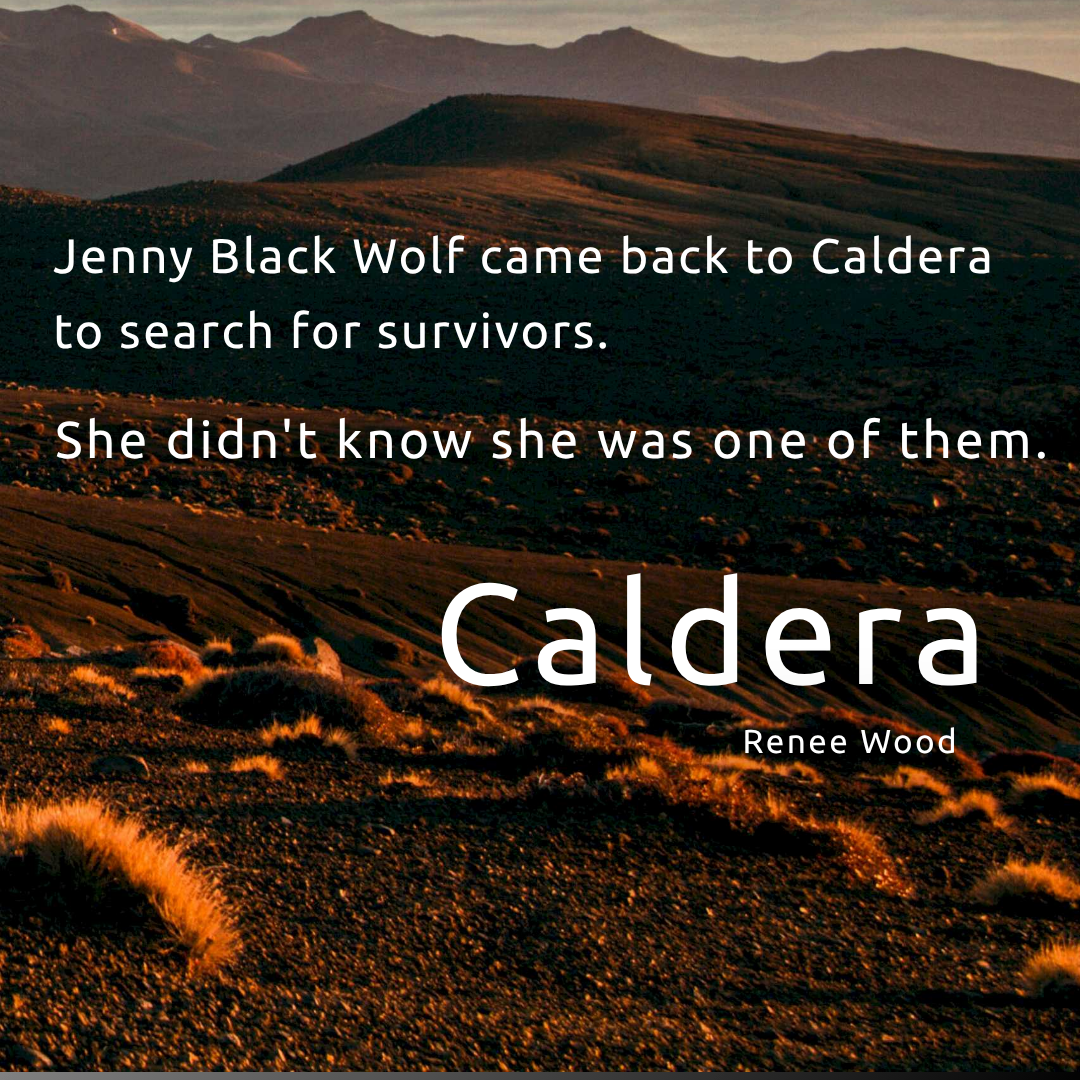 Renee Wood - Author Facebook ad