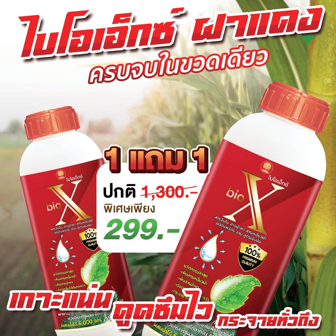 ศูนย์จัดจำหน่าย สารจับใบ สารจับแมลง เข้มข้น สูตรพรีเมี่ยม ราคาโรงงาน Facebook ad: อิเจ๊ลุยเอง! โปรล้างสต็อกครั้งสุดท้าย!
