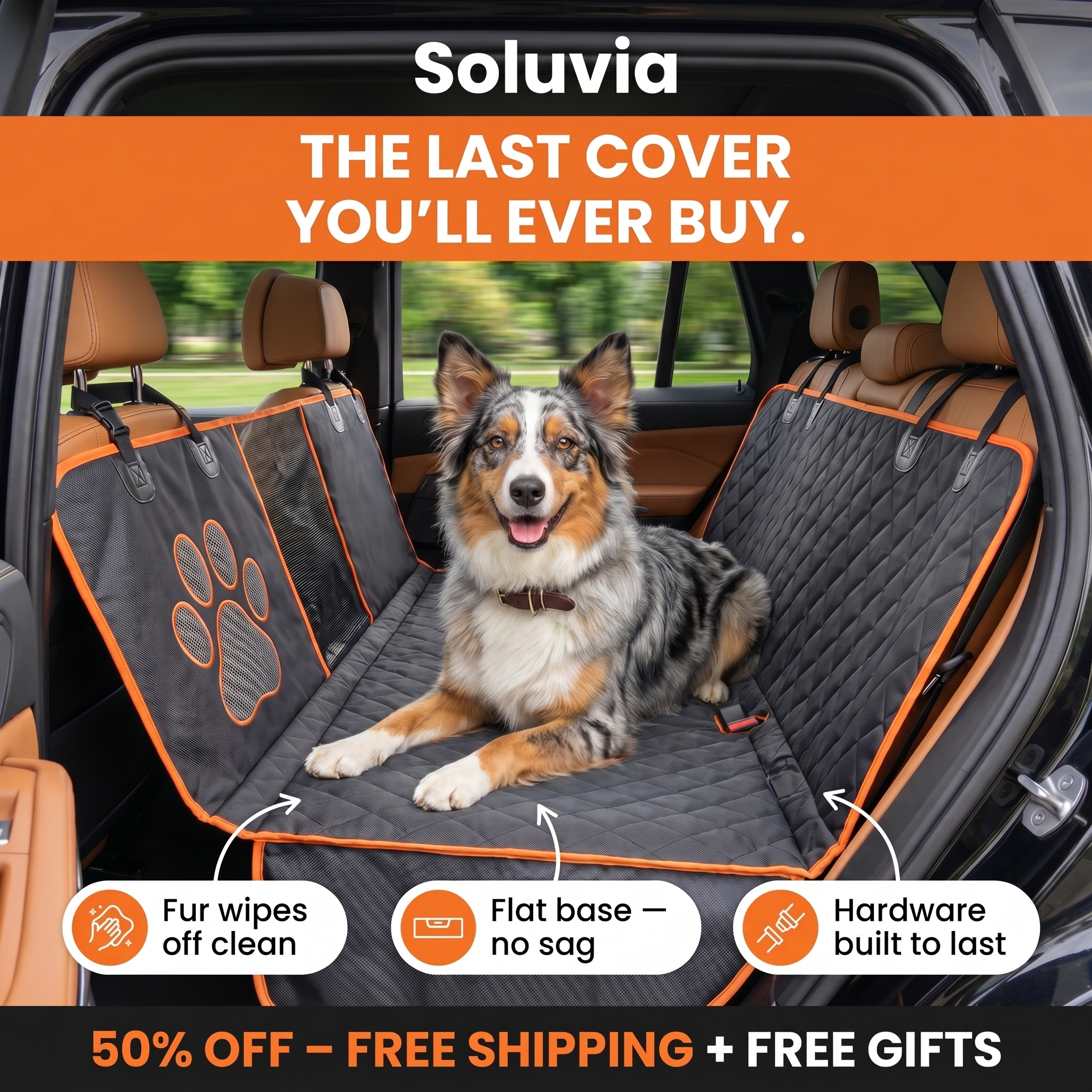 Soluvia Facebook ad: Your Dog Deserves Better.