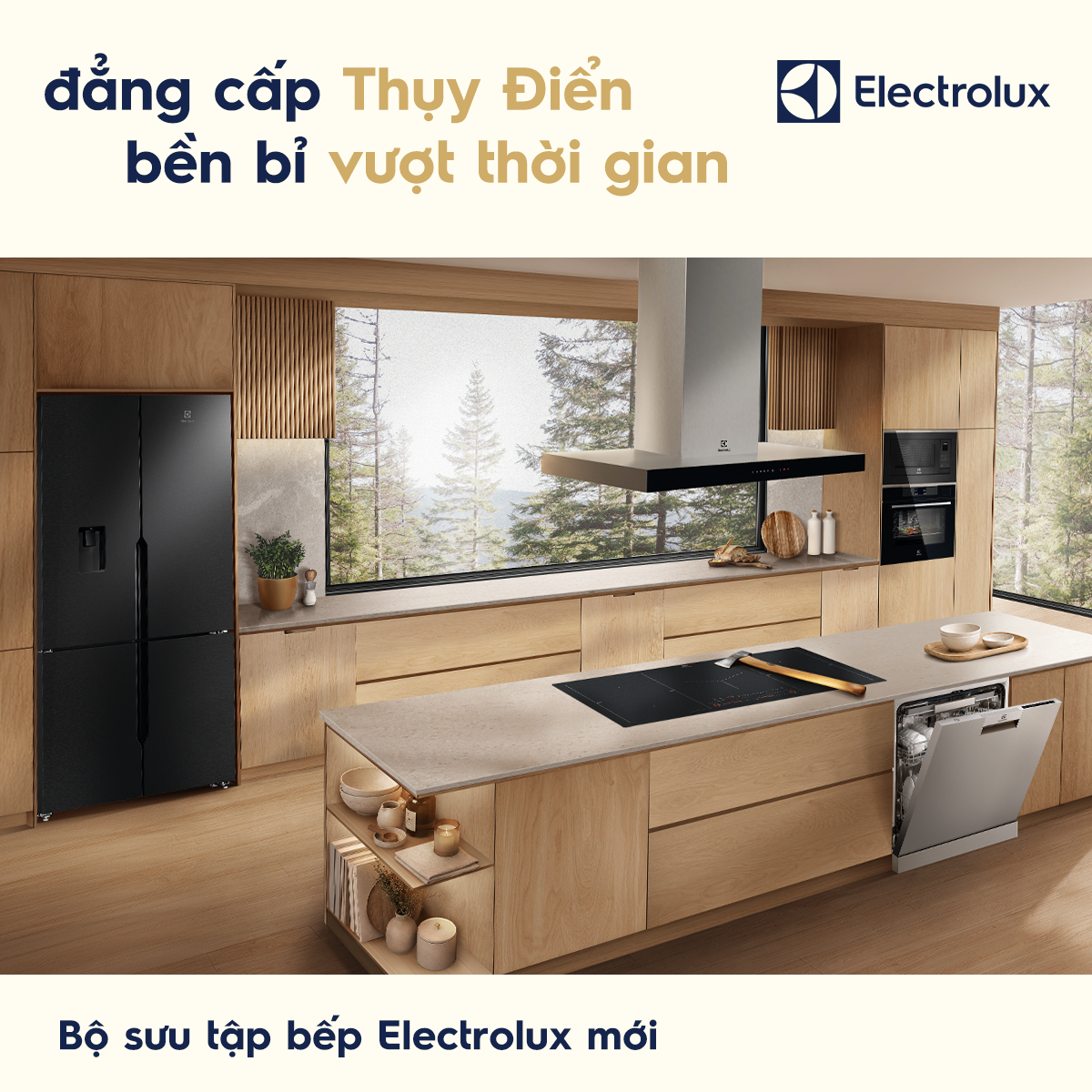Electrolux Facebook ad from Aug 17, 2026
