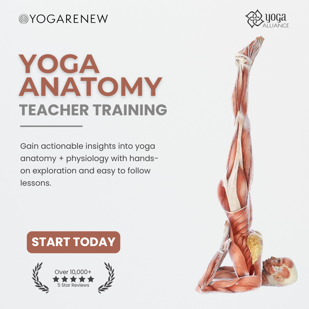YogaRenew Facebook ad