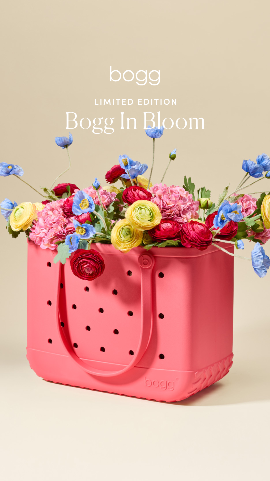 Bogg Bag Facebook ad
