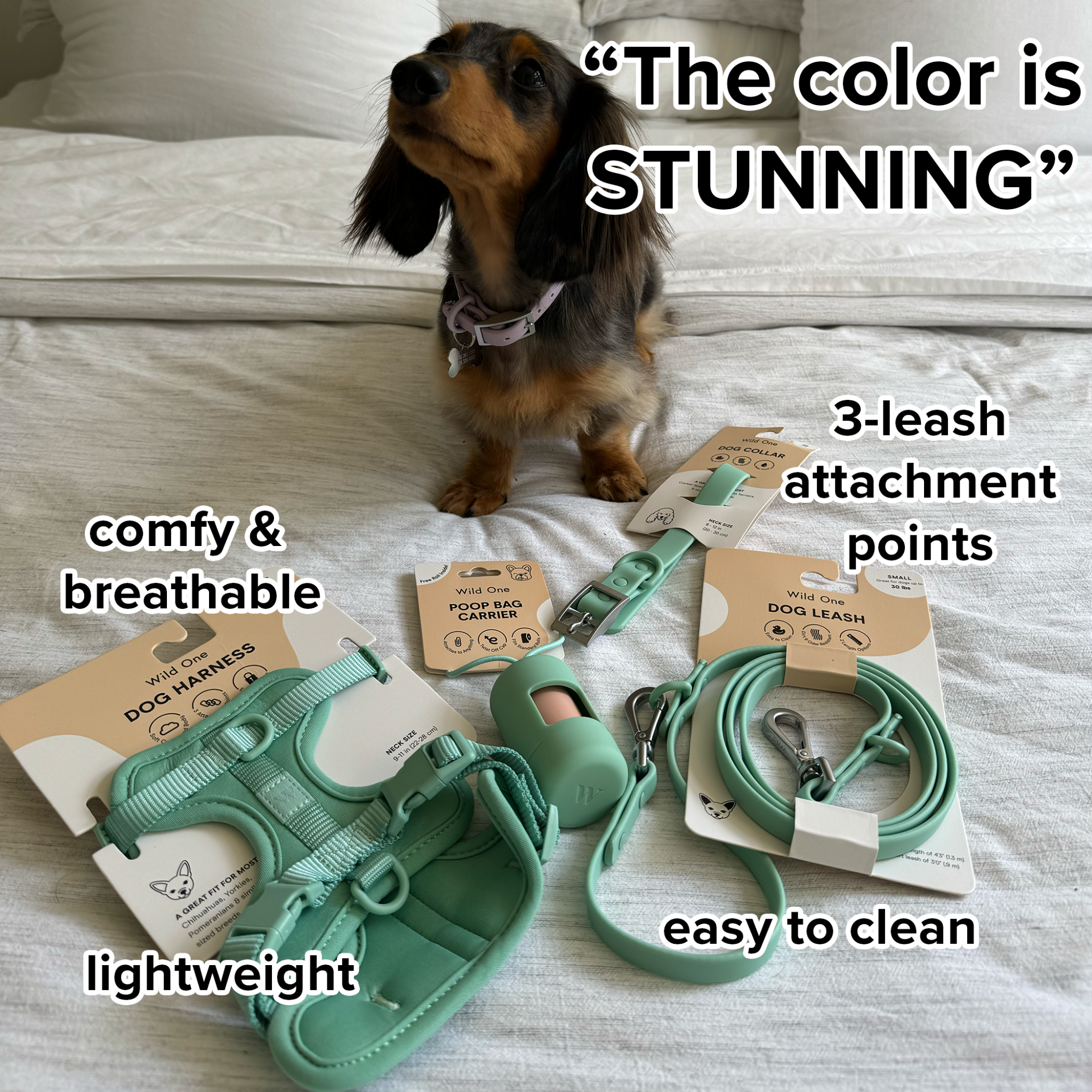 Puppy Parents Facebook ad