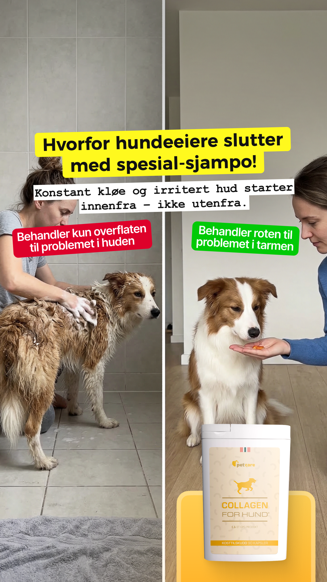 Collagen for hund Facebook ad: Prøv Collagen For Hund gratis!