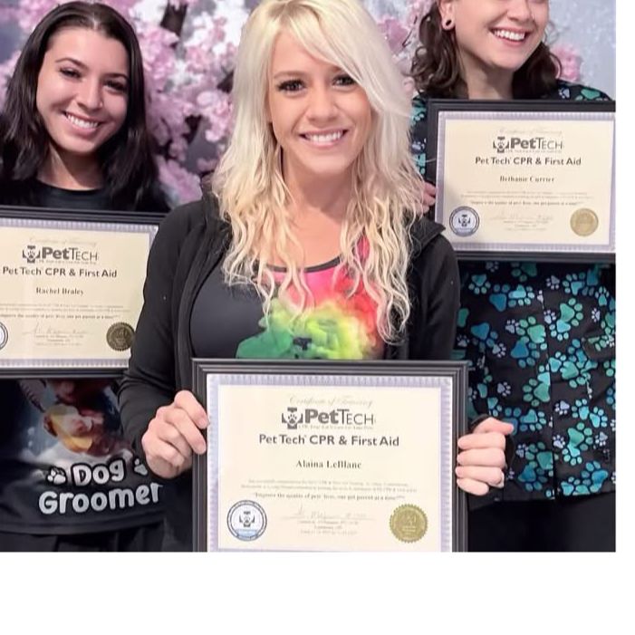Pawfections Pet Salon Facebook ad: Professional dog grooming in Kennebunk, Maine