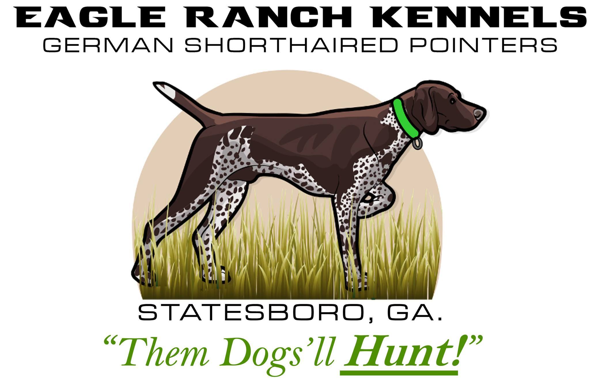 Eagle Ranch Kennels Facebook ad: Eagle Ranch Kennels (ERK) is a German Shorthaired…