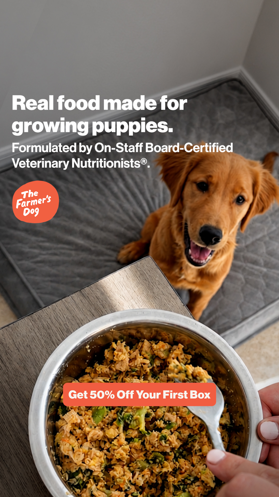 The Farmer's Dog Facebook ad