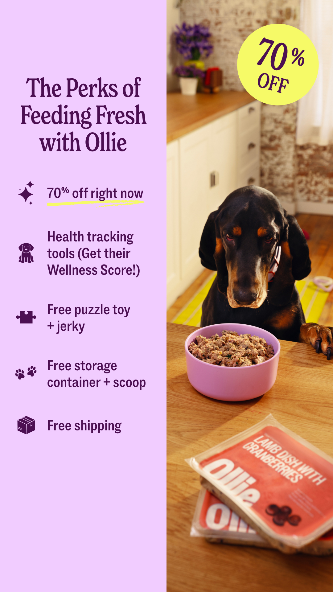 Ollie Facebook ad