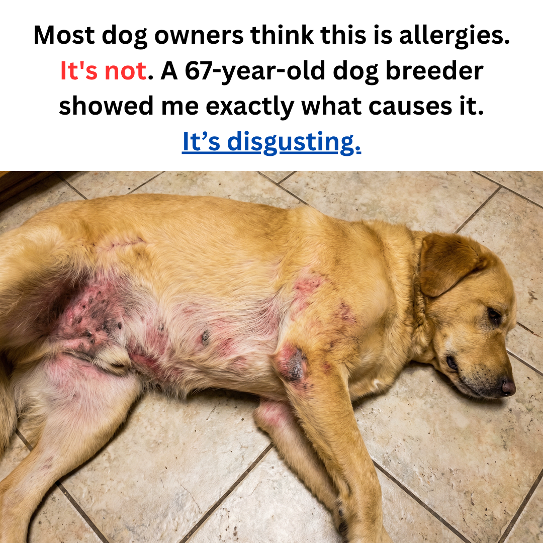 HoundNutrition Facebook ad: If your dog won’t stop scratching…