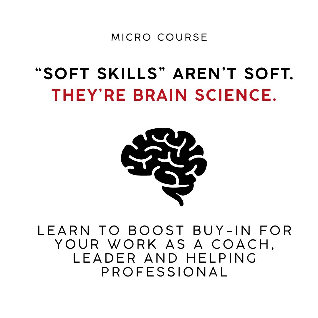 Mindset Neuroscience Facebook ad