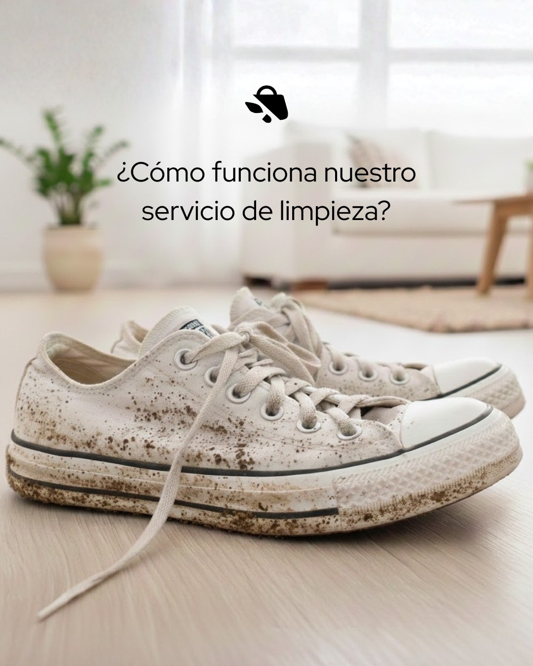 tabaz&carteraz Facebook ad: Recogemos tus zapatillas y te las devolvemos impecables…