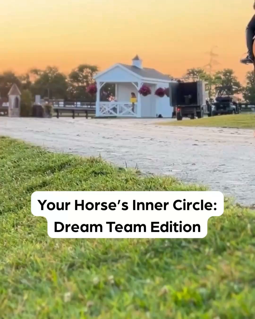 Zoetis Equine Facebook ad: Your horse’s inner circle​
