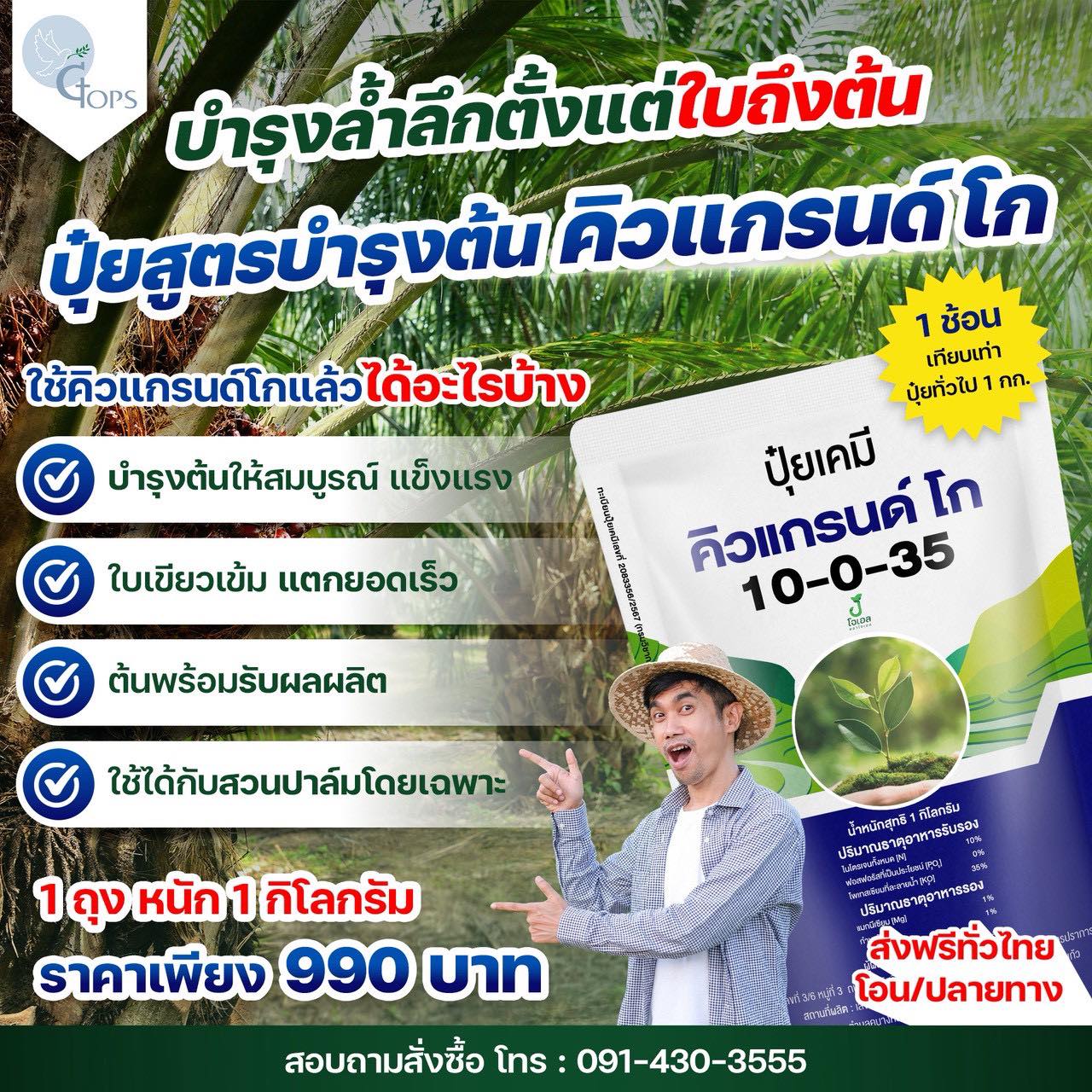 ปุ๋ยคิวแกรนด์ - ปุ๋ยปาล์มลูกดก ทลายใหญ่ น้ำหนักดี ต้นสมบูรณ์ Facebook ad: ปุ๋ยสูตรเด็ด คิวแกรนด์โก ต้นโตไว ใบแตกงาม