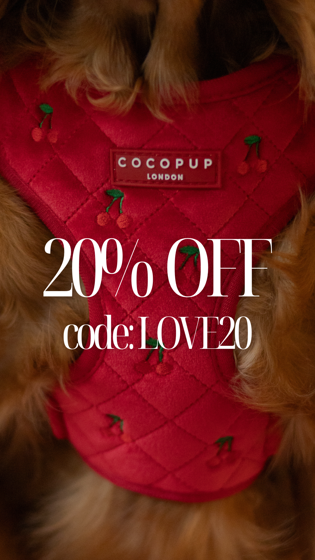 Cocopupuk Facebook ad