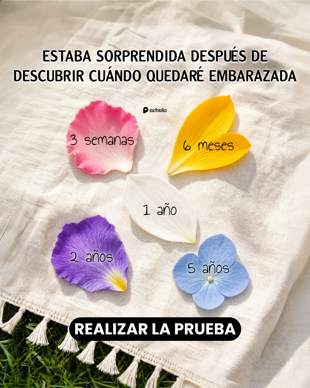 Nebula: Palm Reading Facebook ad
