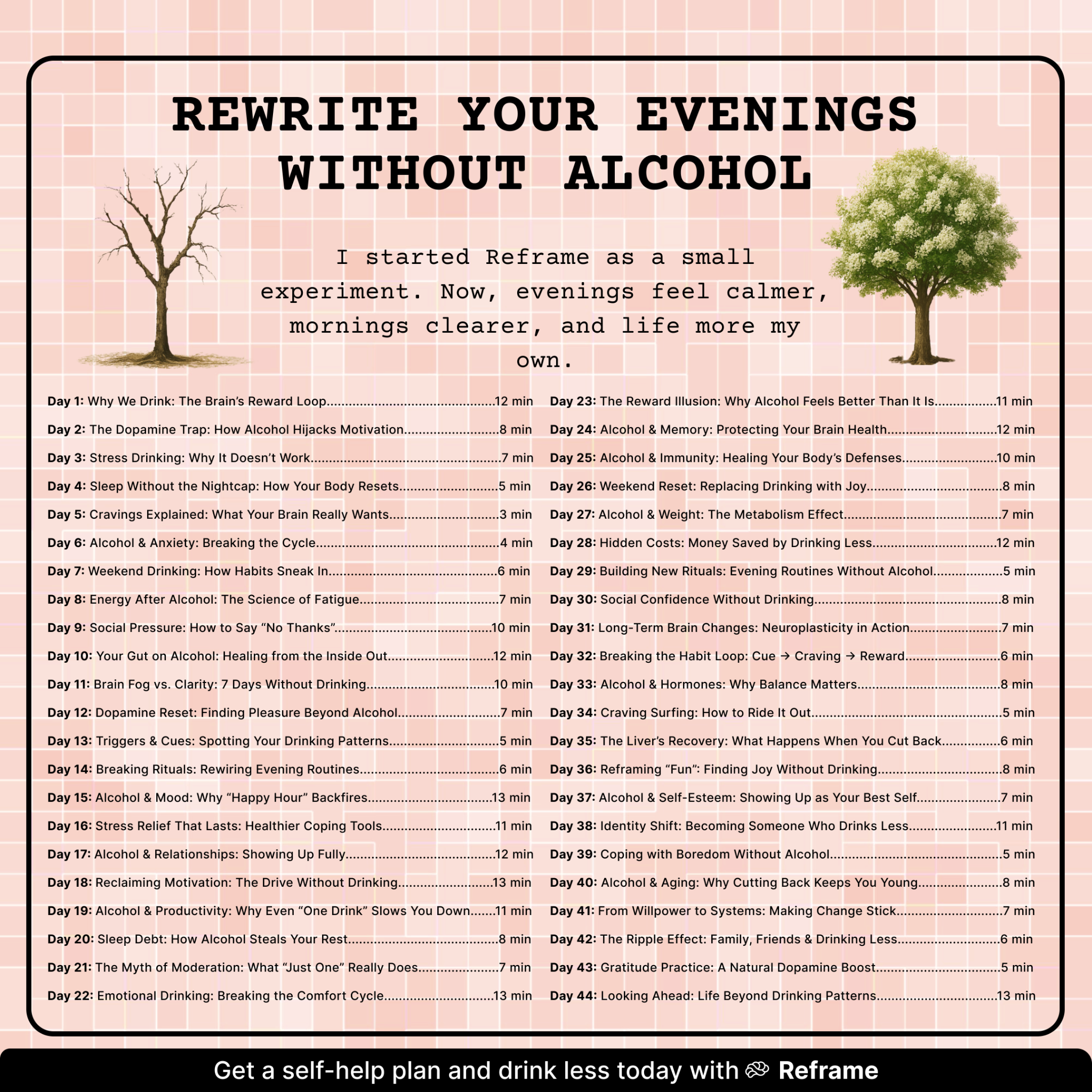 Reframe Facebook ad