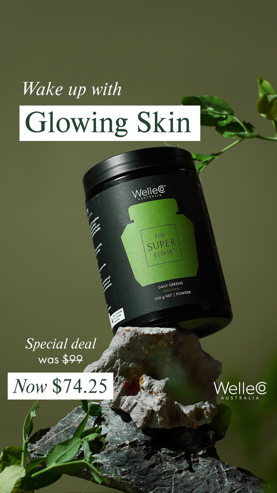 WelleCo Facebook ad
