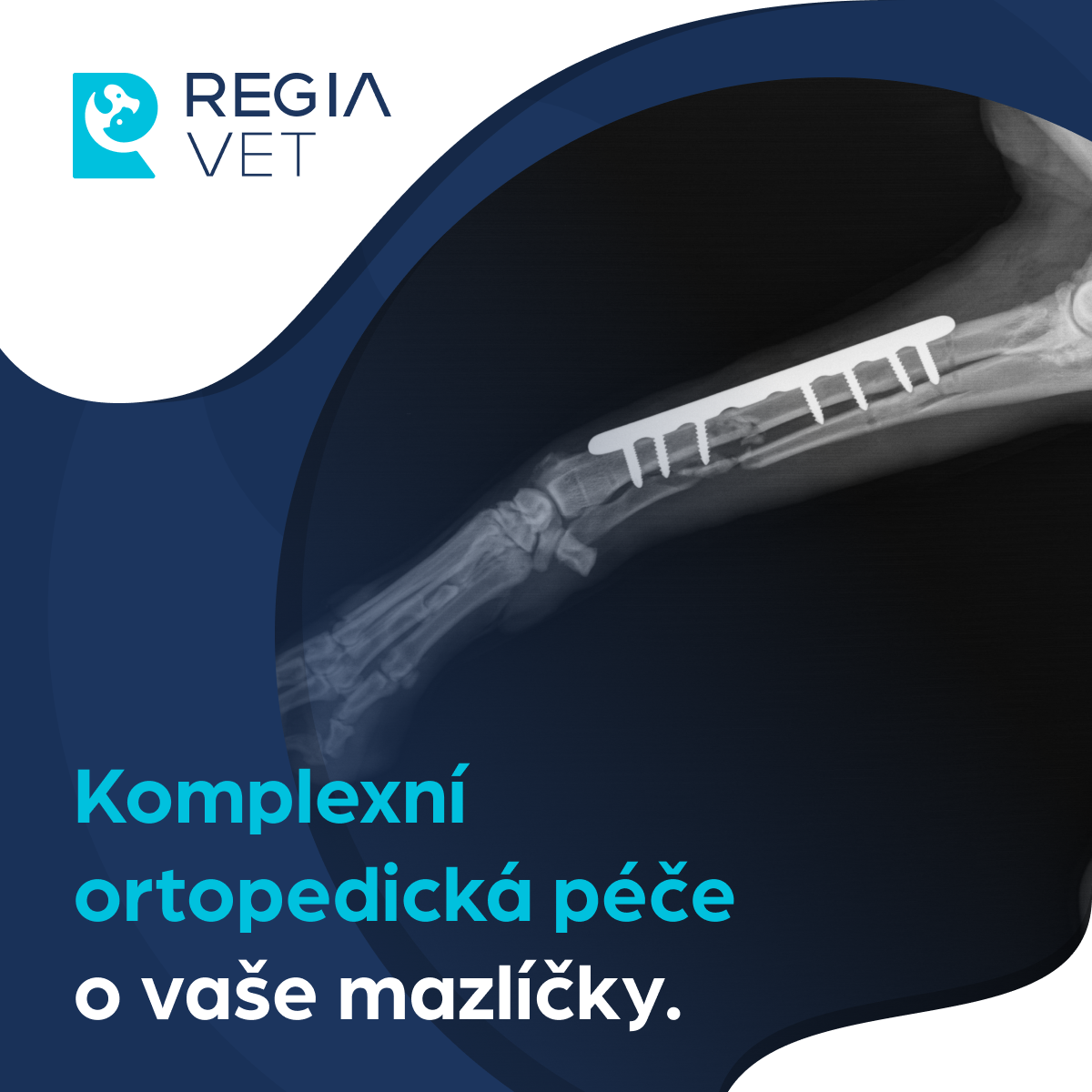 RegiaVet veterinární klinika Facebook ad: Veterinární ortopedie na RegiaVet