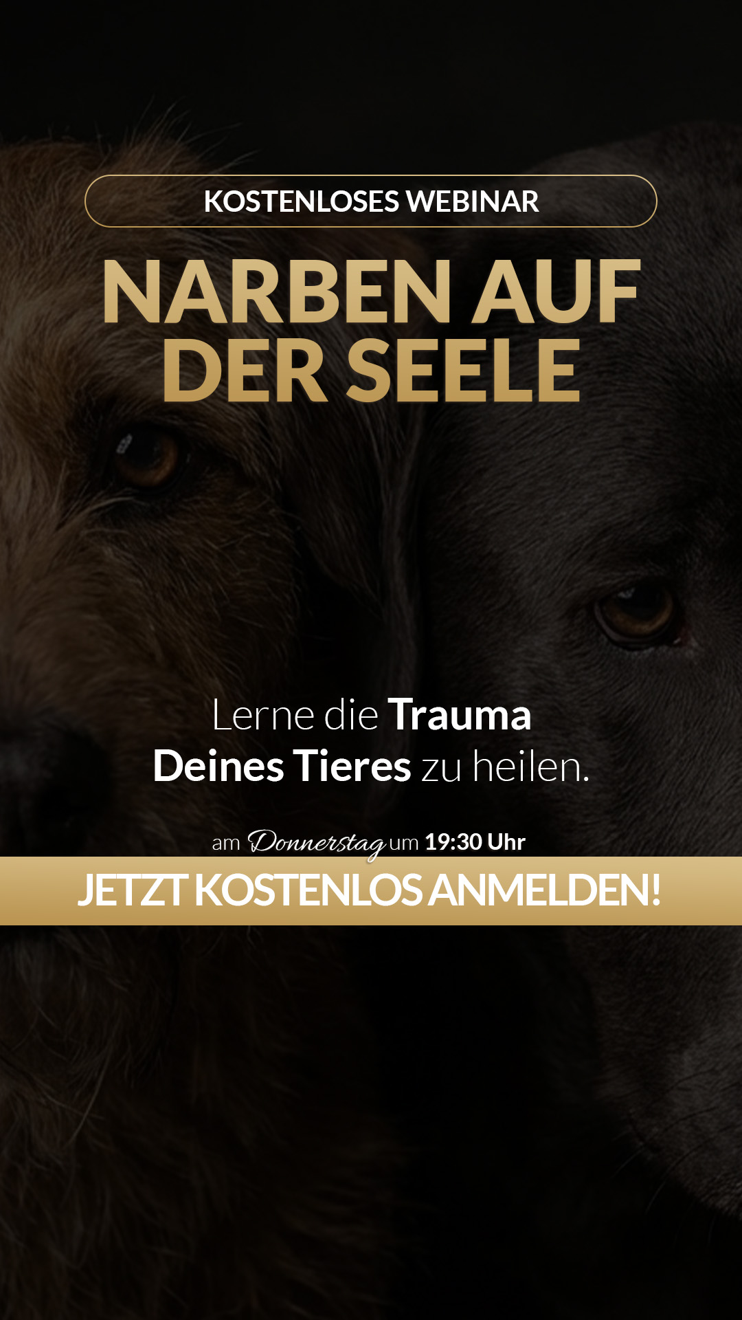Tierkommunikation Lisa-Maria Kastenberger Facebook ad from Aug 1, 2026