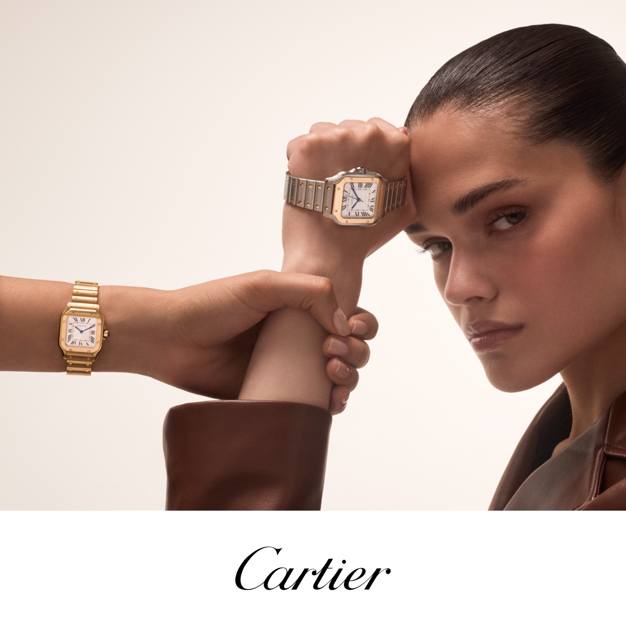Cartier Facebook ad