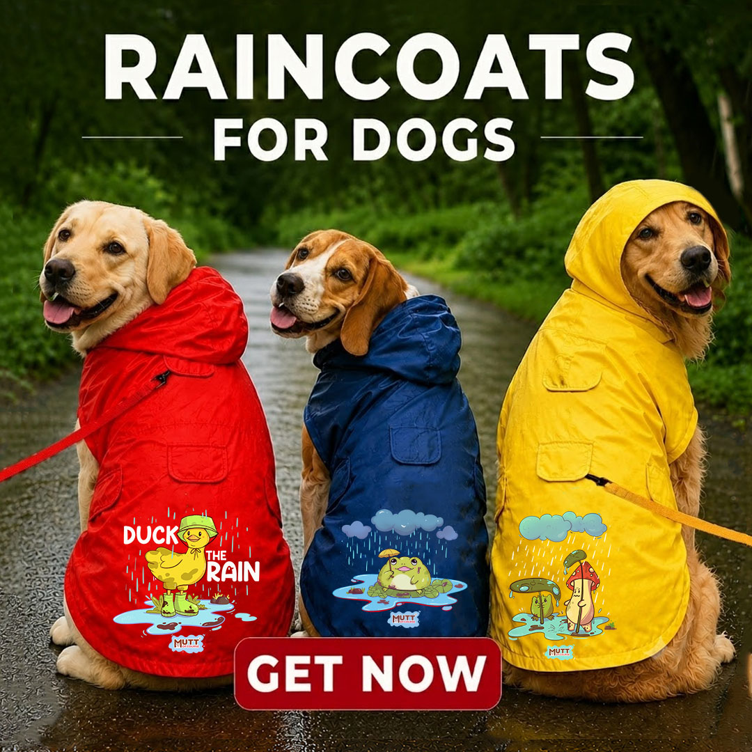 Mutt of Course Facebook ad
