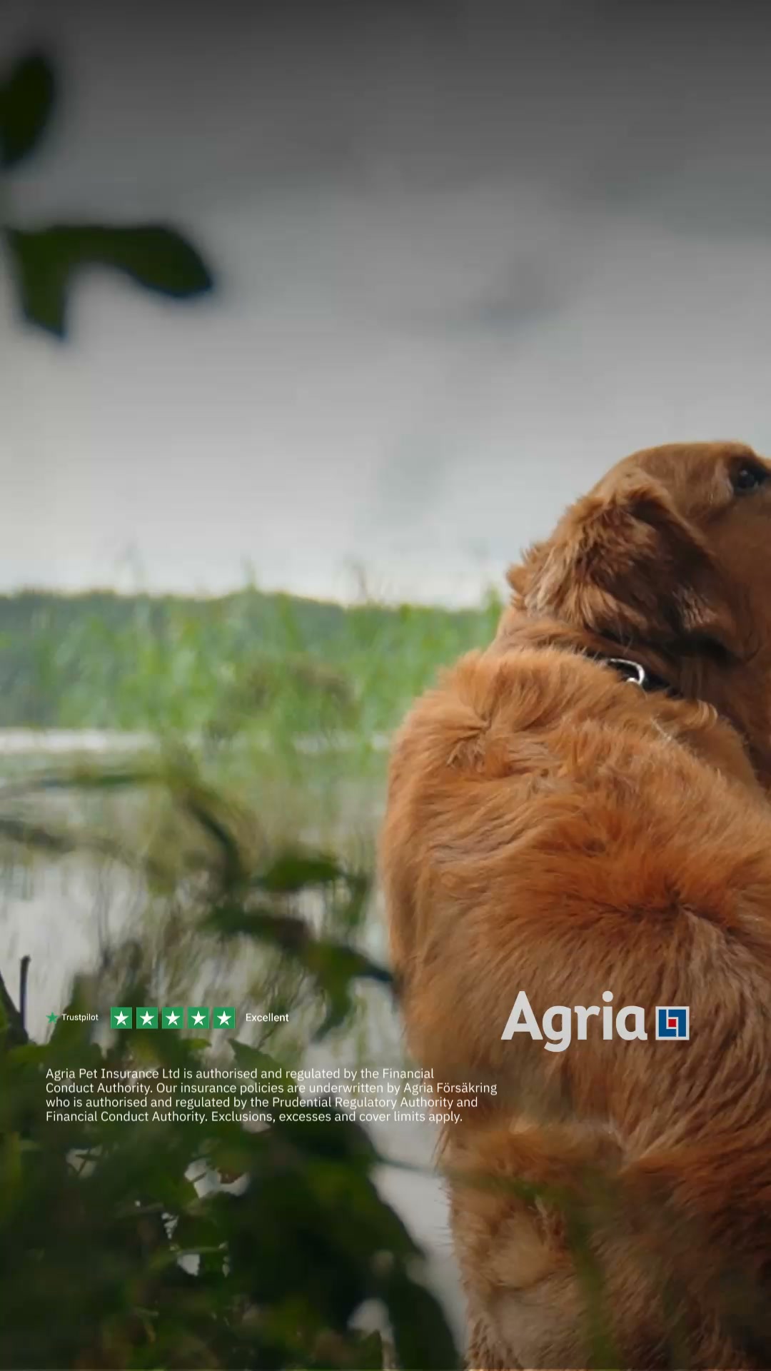 Agria Pet Insurance Facebook ad: Great pet insurance at a reasonable price. - Jane