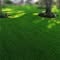 Tawa Tree & Lawn Services