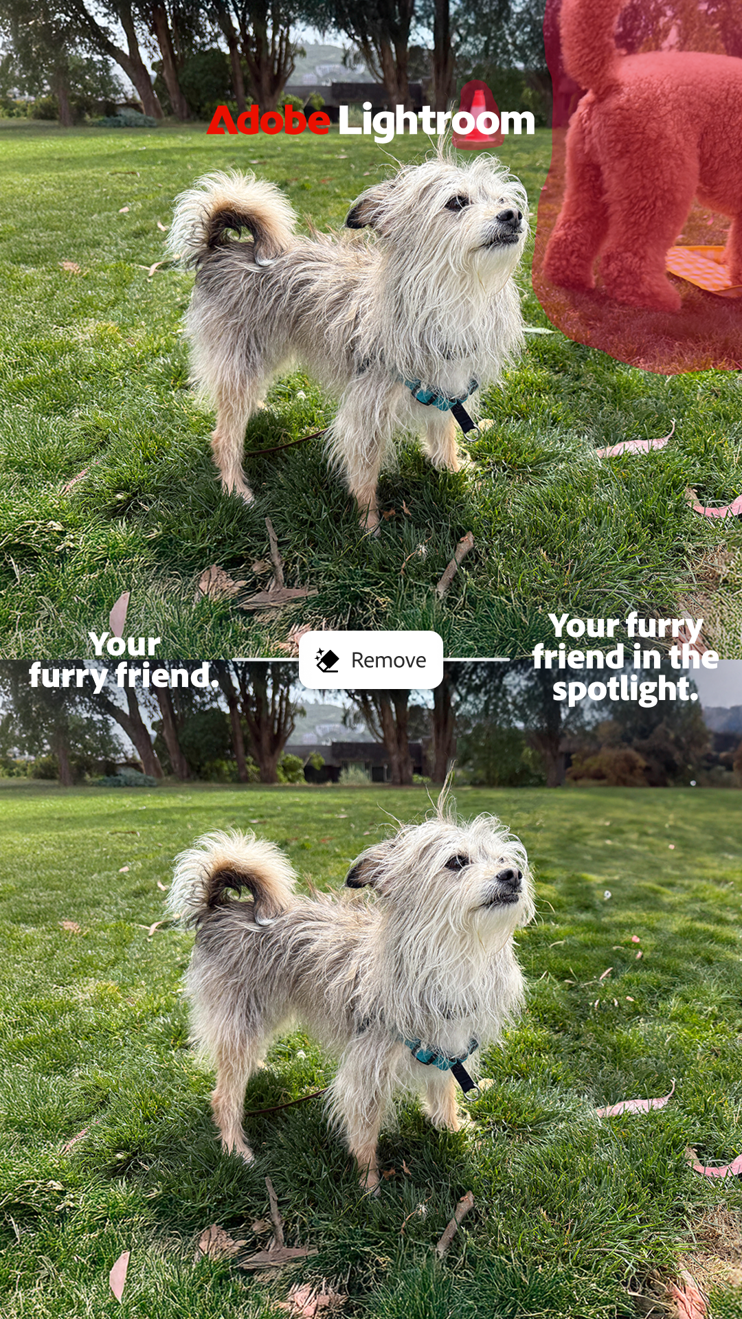 Adobe Lightroom Facebook ad