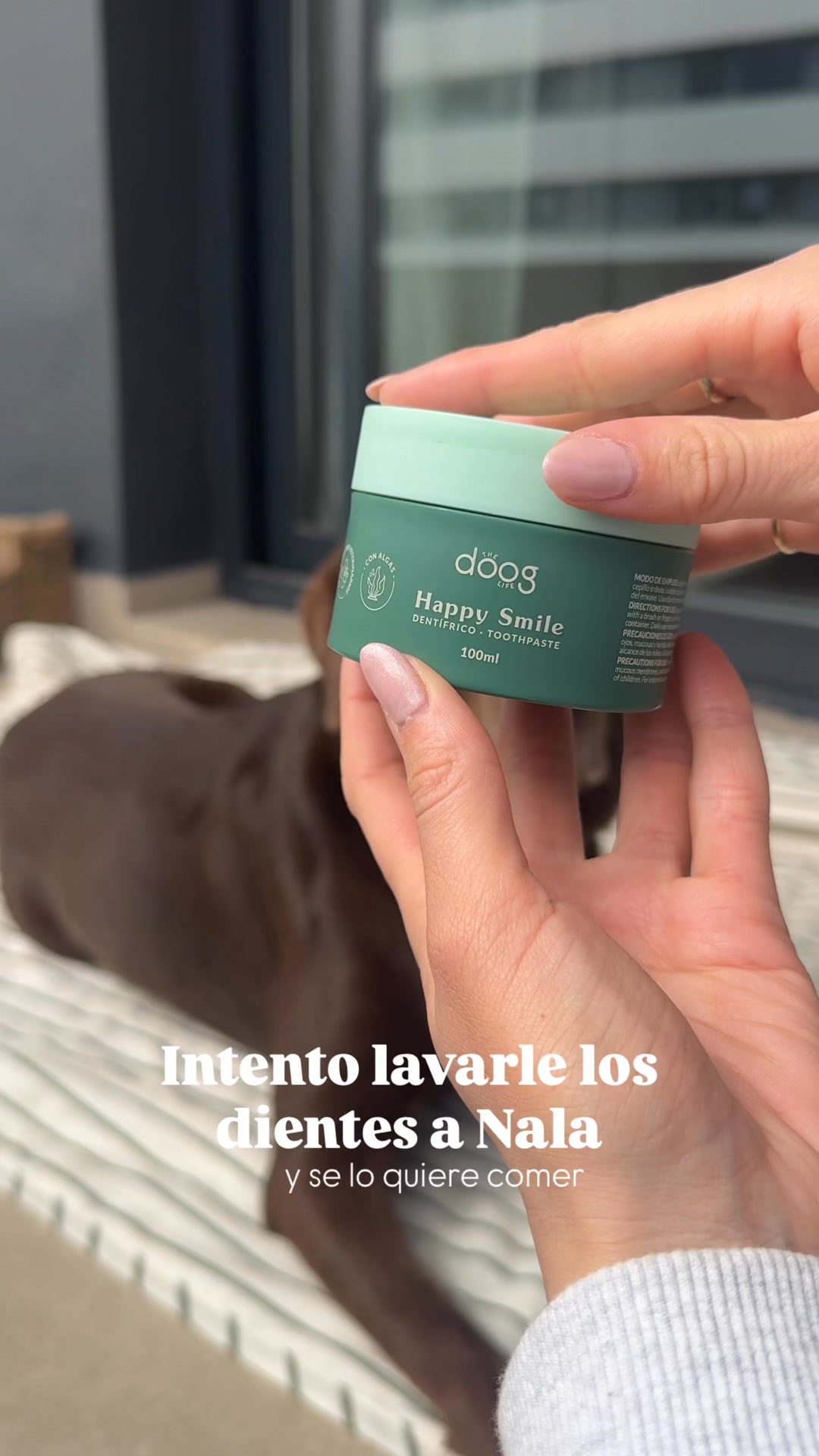 The Doog Life Facebook ad: Dientes limpios, sin química