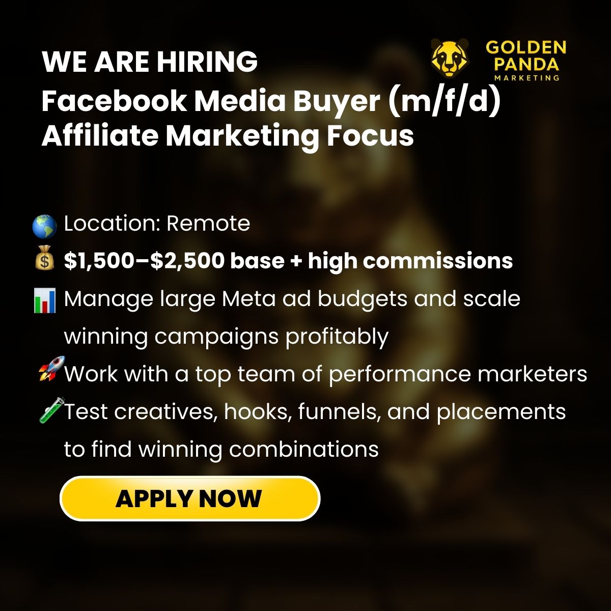 Golden Panda Marketing Facebook ad: Facebook Ads Media Buyer (m/f/d)
