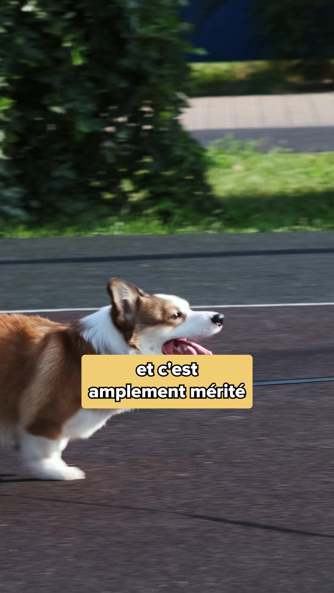 Franklin Pet Food Facebook ad: Boostez la mobilité de votre chien