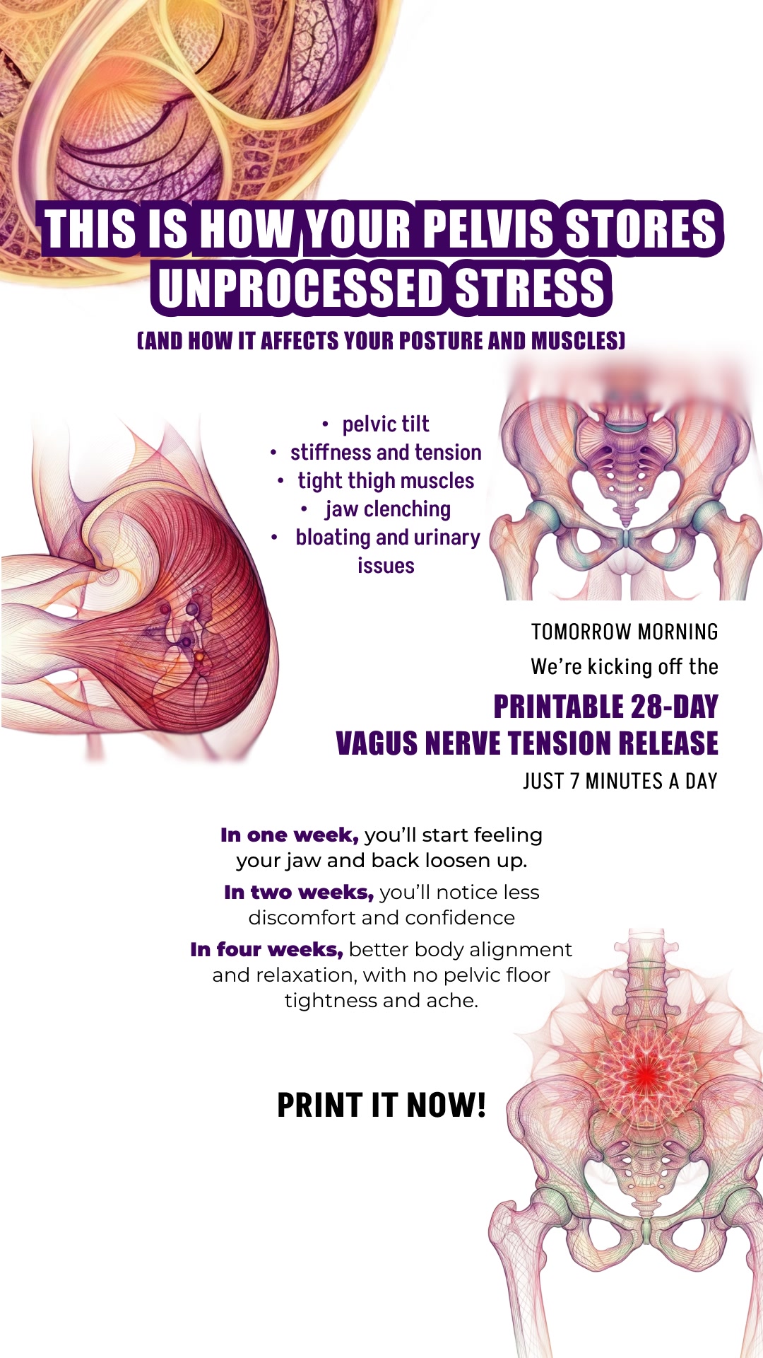 BodyMind Reset Facebook ad: The Hidden Cause of Tension and Chronic Pain