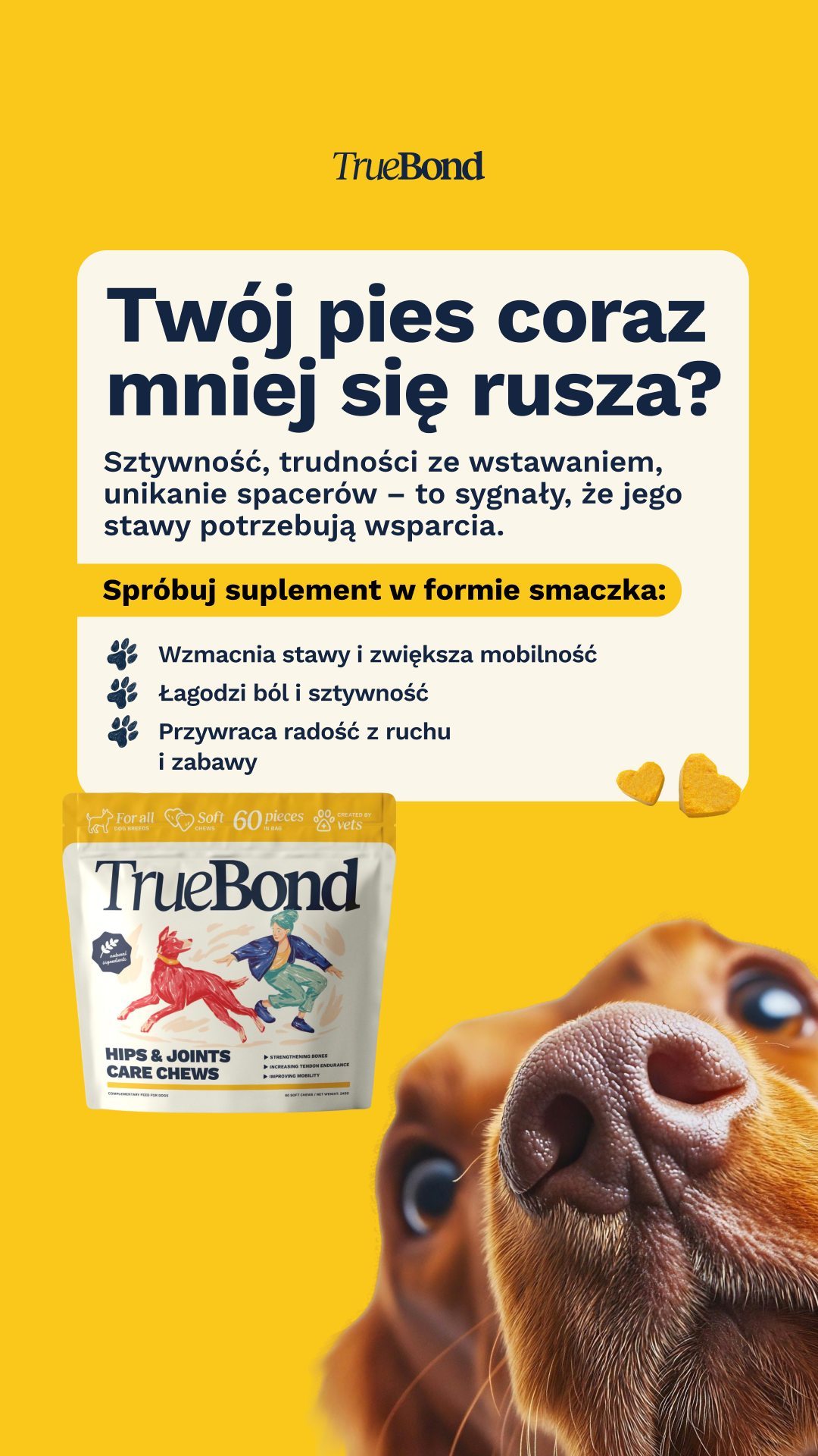 zoona.pl Internetowy sklep zoologiczny Facebook ad from Mar 21, 2025