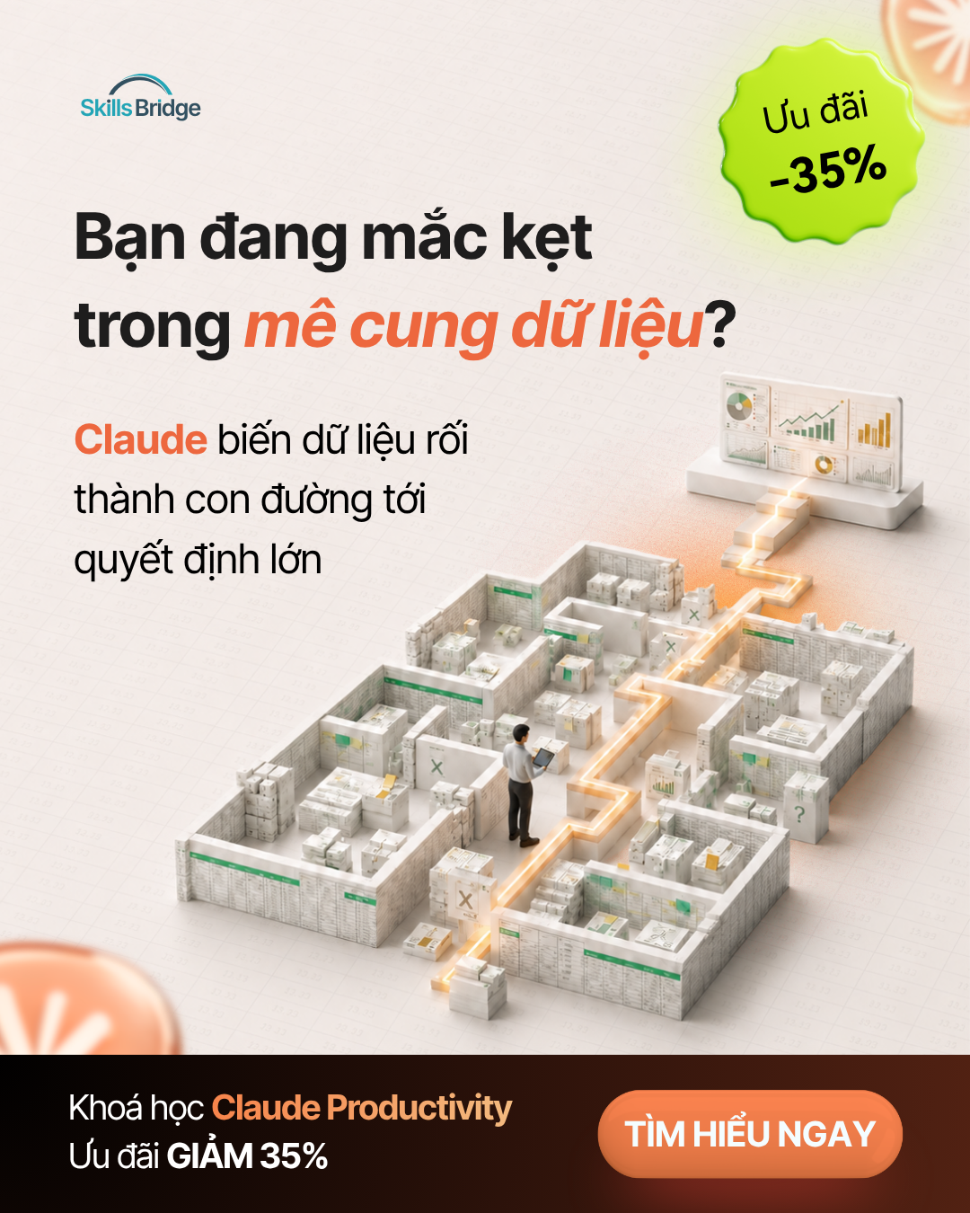 Skills Bridge Facebook ad