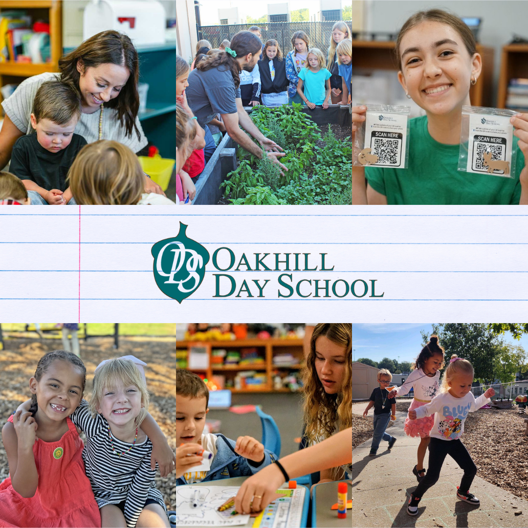 Northland City Lifestyle Facebook ad: From Early Childhood to Middle School, every child…