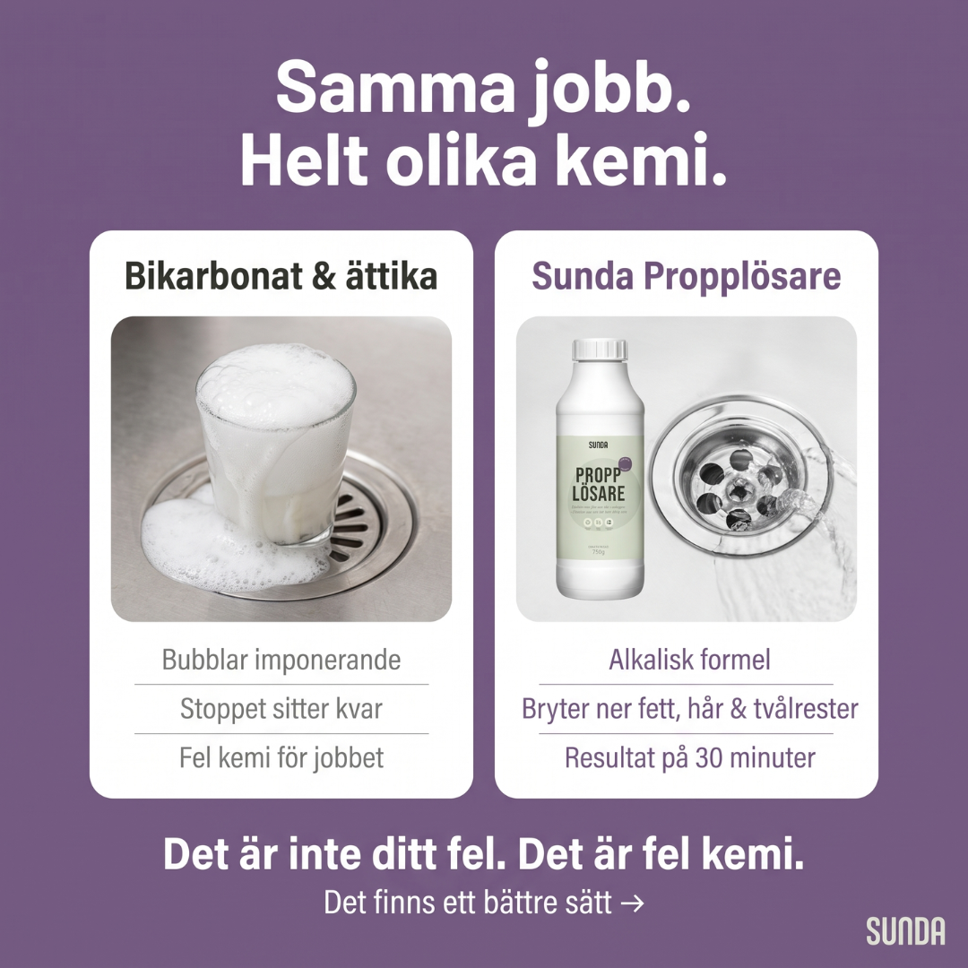 Sunda Facebook ad