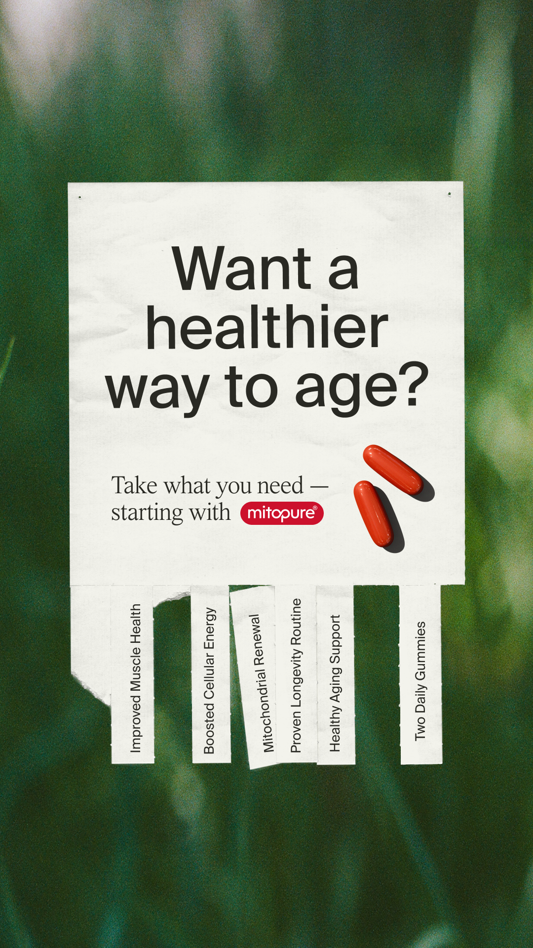 Timeline Longevity Facebook ad