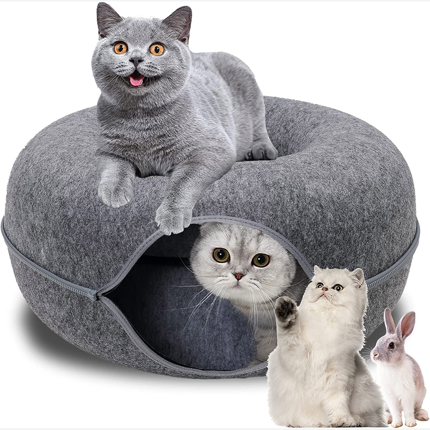 CatproOnline Facebook ad