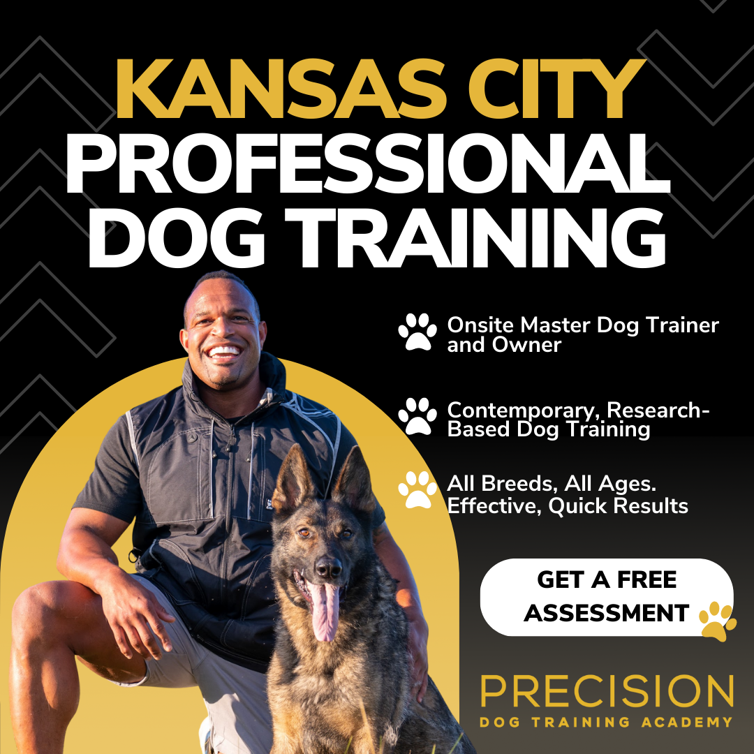 Precision Dog Training Academy Facebook ad