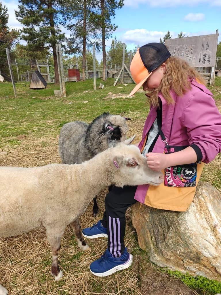 Lapland North Destinations Facebook ad: Entdecke Ilonkas Sommer: Farmbesuche, Husky Walks…