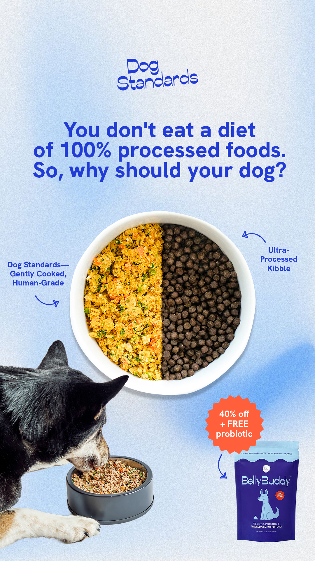 Dog Standards Facebook ad from Jun 9, 2026