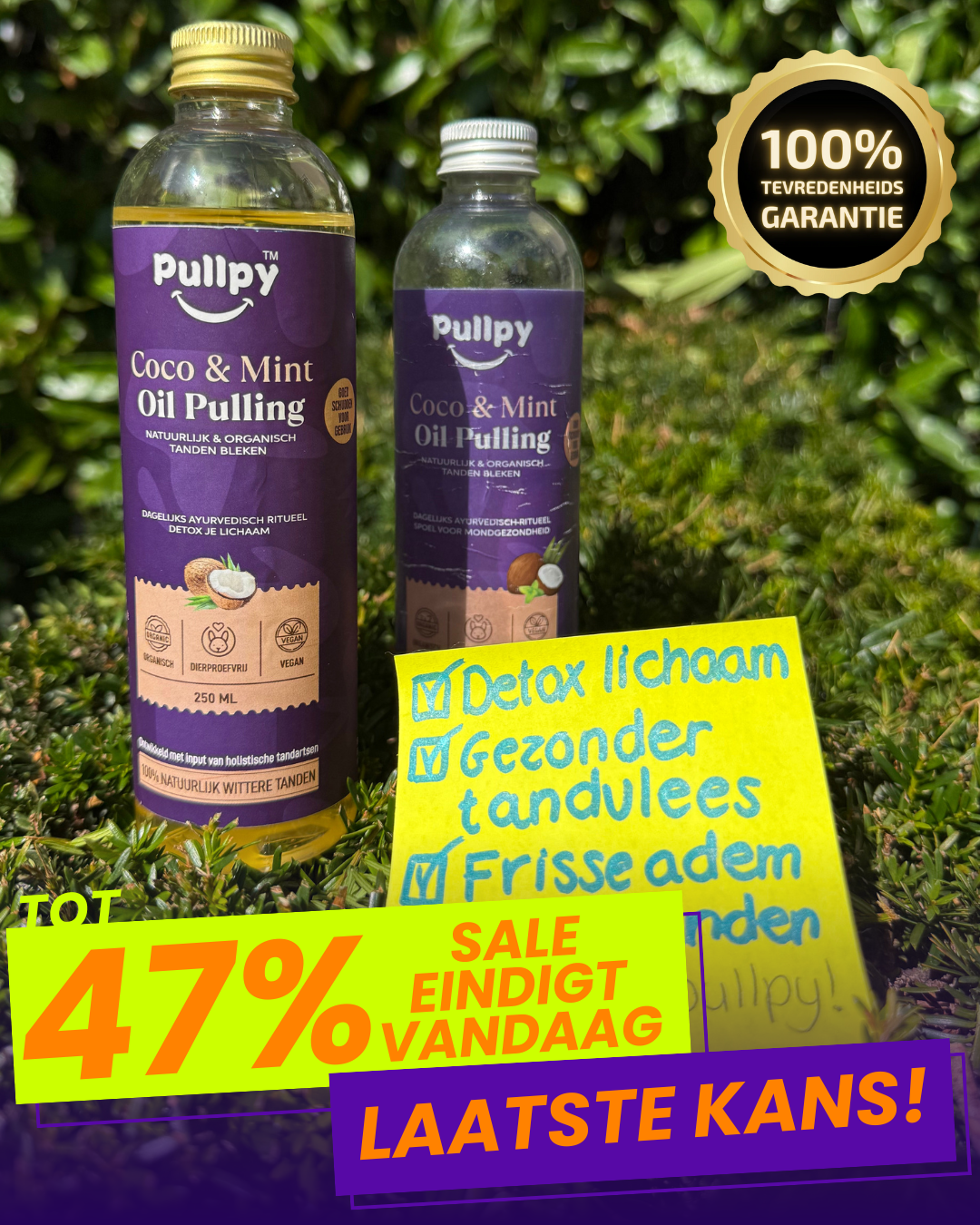 Pullpy Facebook ad