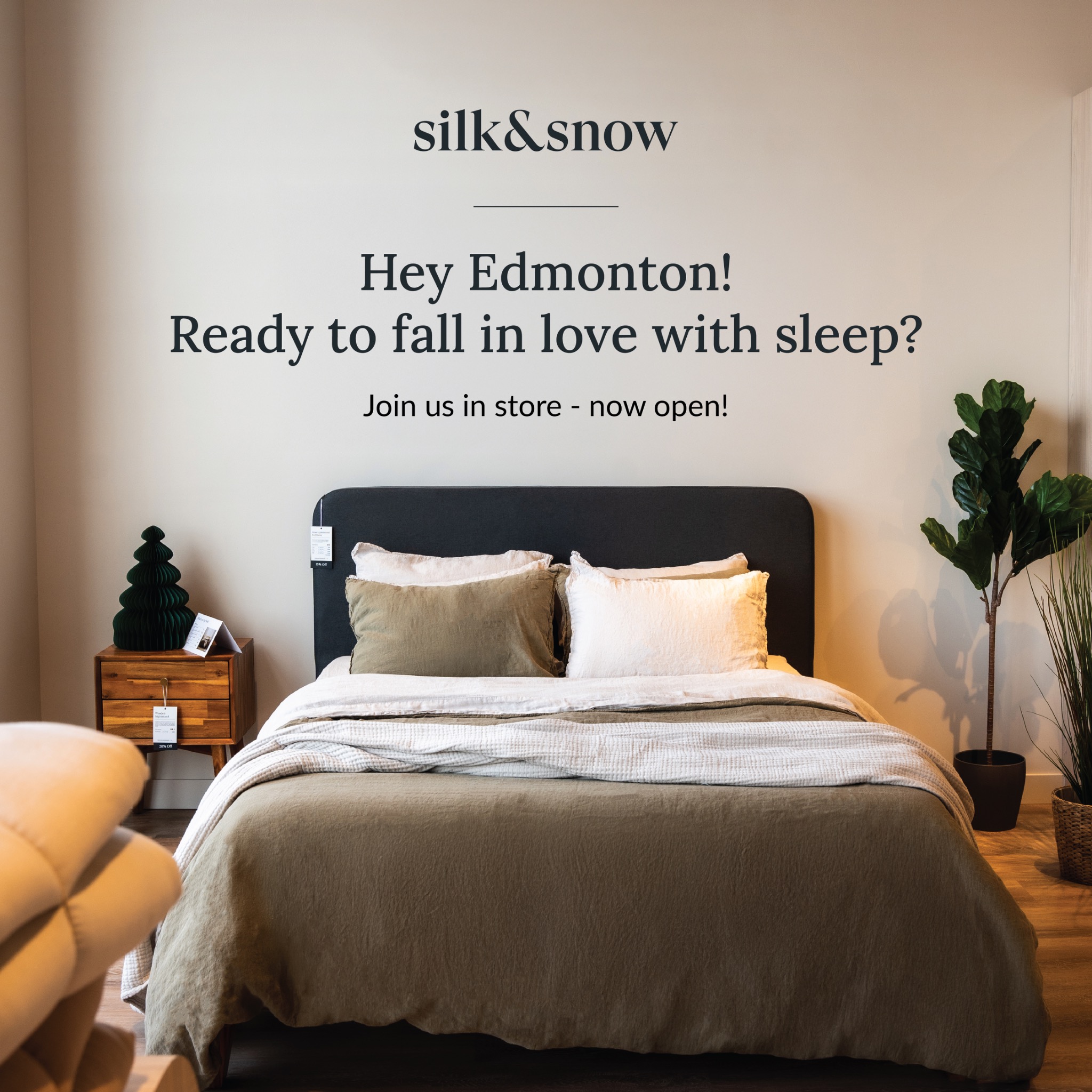 Silk and Snow Facebook ad