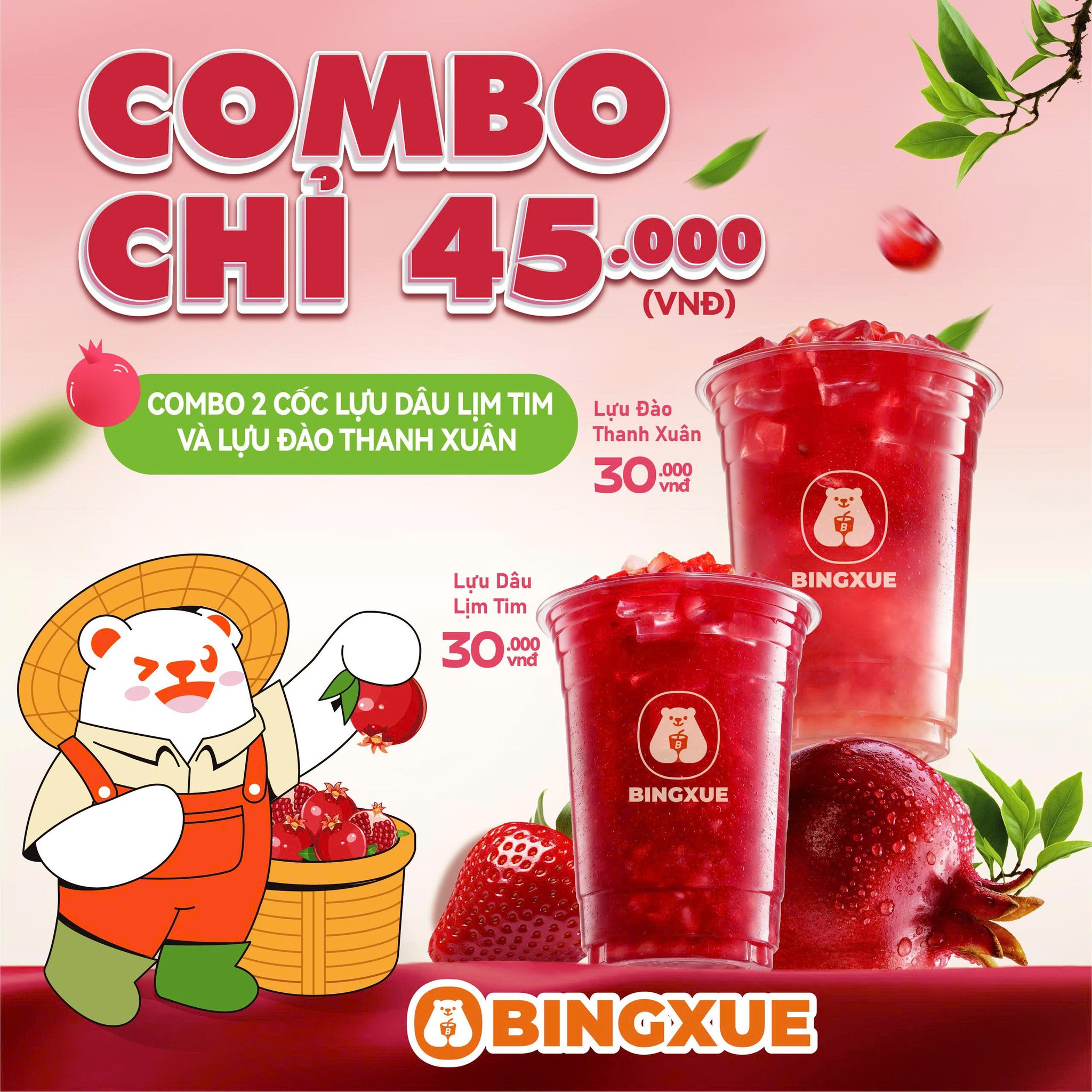 Bingxue Vietnam Facebook ad: COMBO LỰU CHỈ 45K ĐÃ CHÍNH THỨC KHỞI…