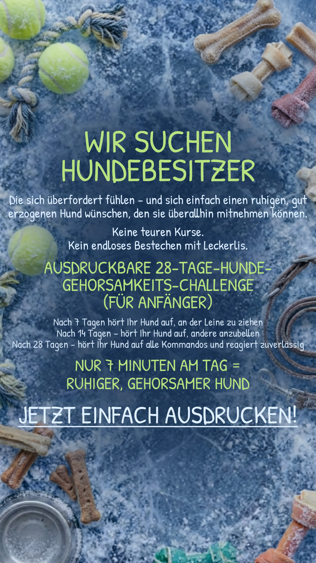 28 Day Dog Obedience Challenge Facebook ad
