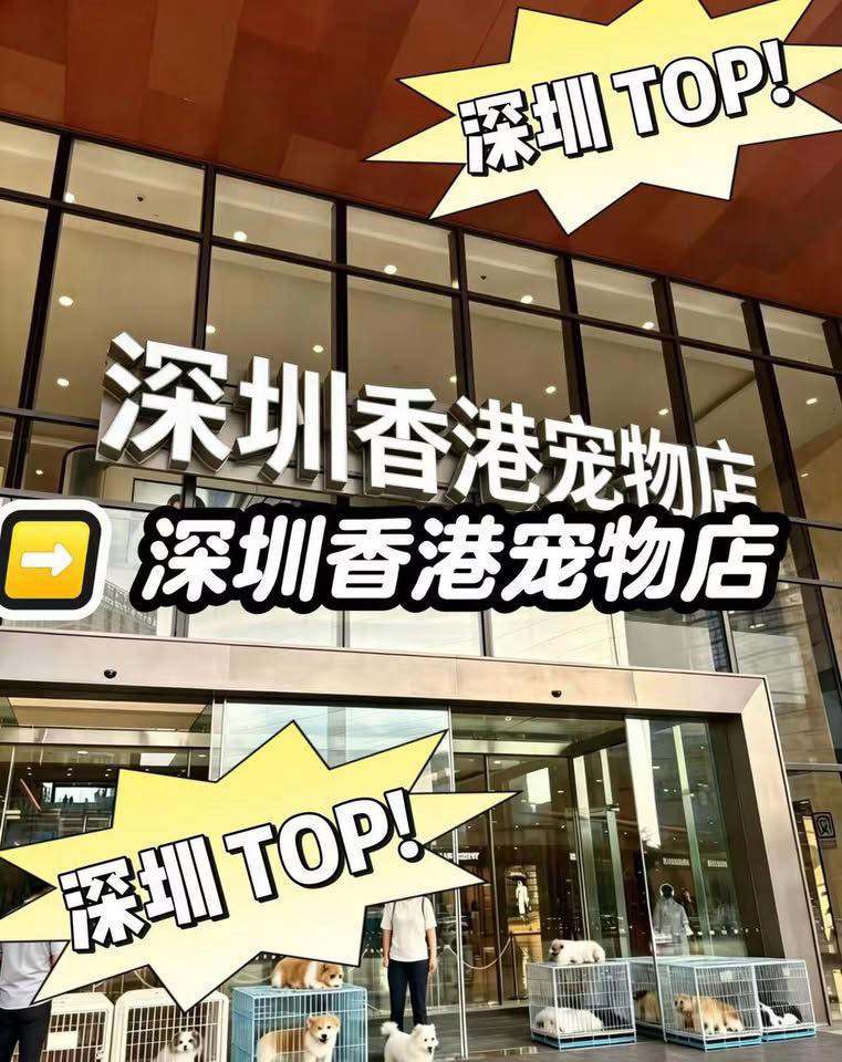星宠宠物店 Facebook ad: 香港这家猫狗宠物基地简直太好逛了!香港宠物自家培育、没有多余中间环节、可上门互动挑选