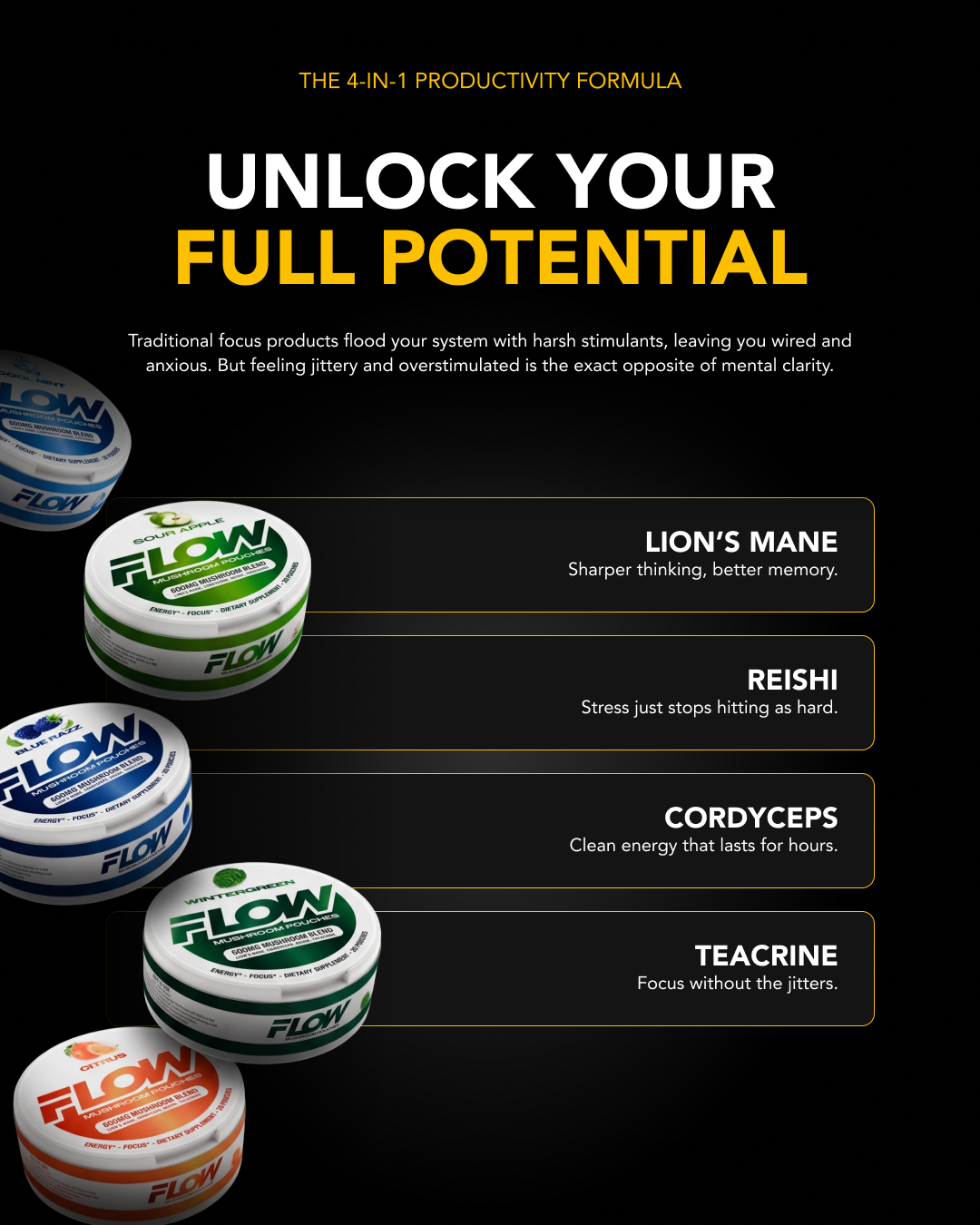 The Focus Foundation Facebook ad: Try Flow risk-free for 90 days. Get more done or get your…